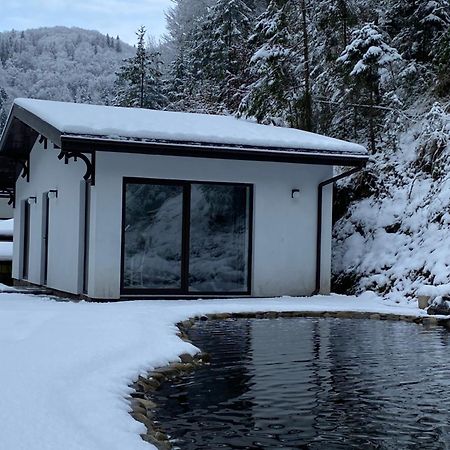 Cottage house Mizhhirya  Dış mekan fotoğraf