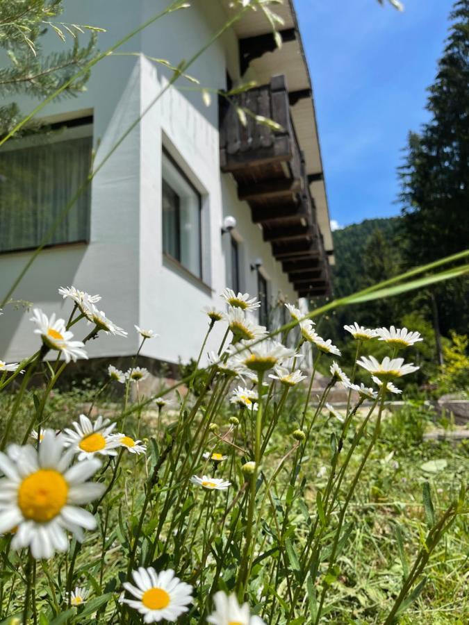 Cottage house Mizhhirya  Dış mekan fotoğraf