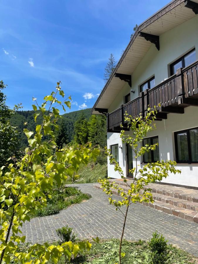 Cottage house Mizhhirya  Dış mekan fotoğraf