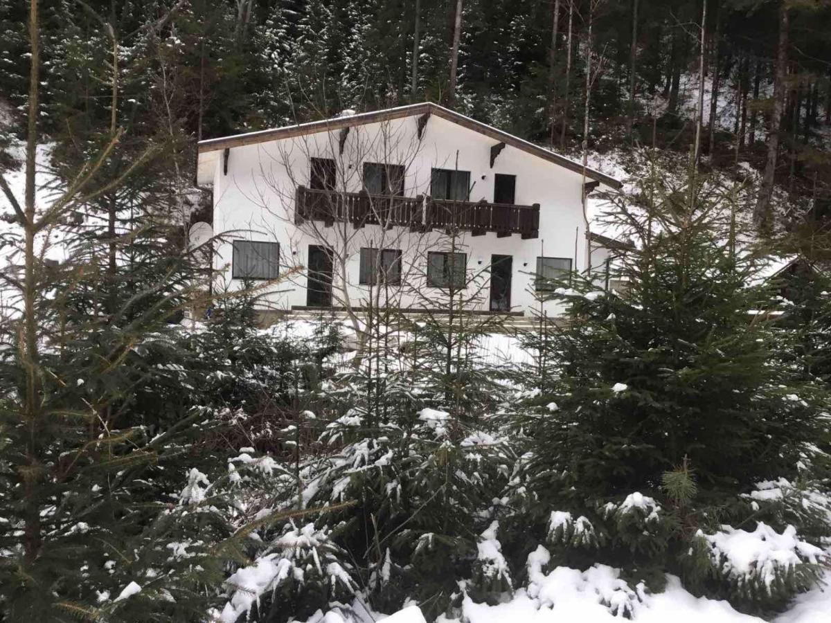 Cottage house Mizhhirya  Dış mekan fotoğraf