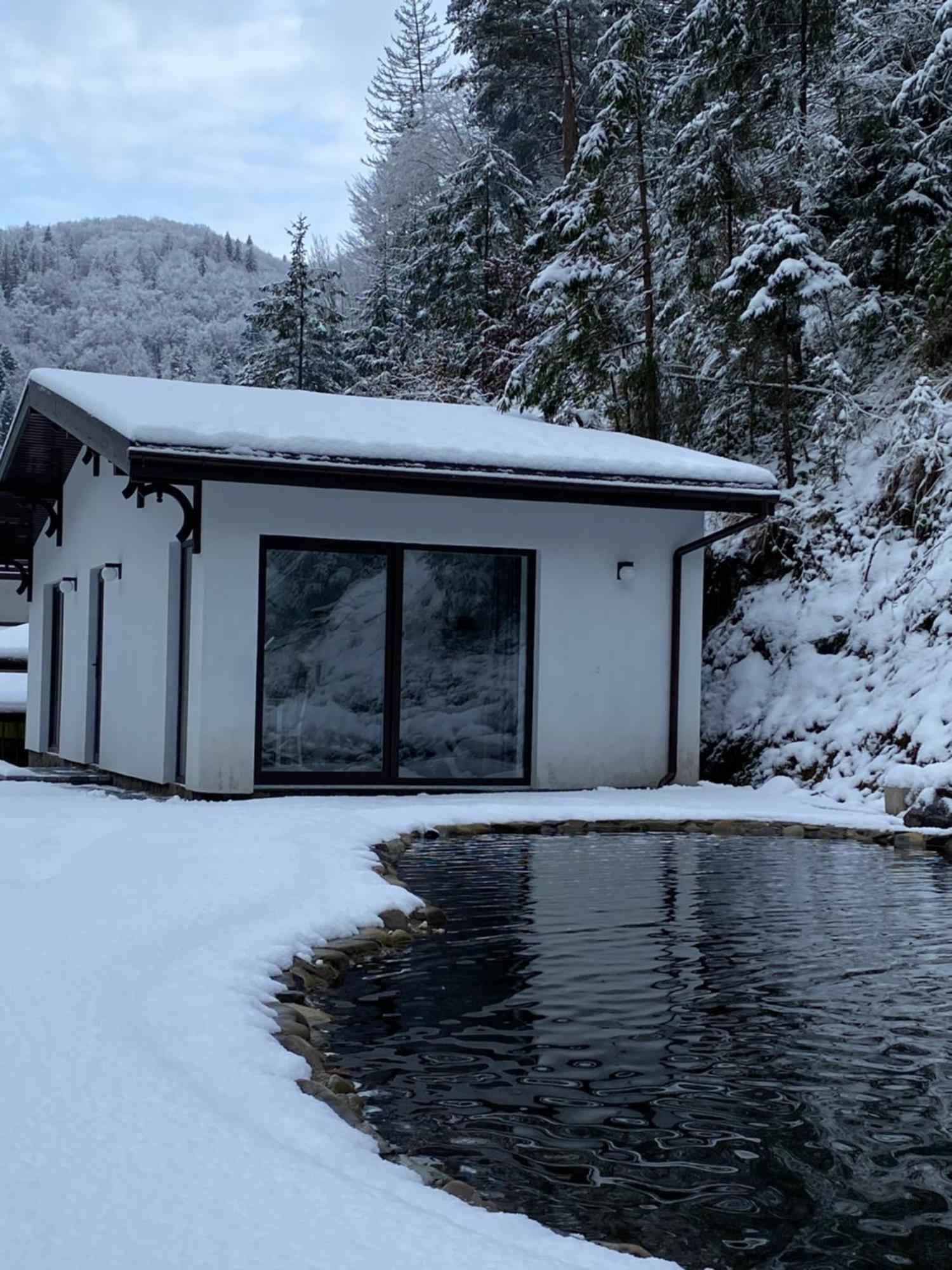 Cottage house Mizhhirya  Dış mekan fotoğraf