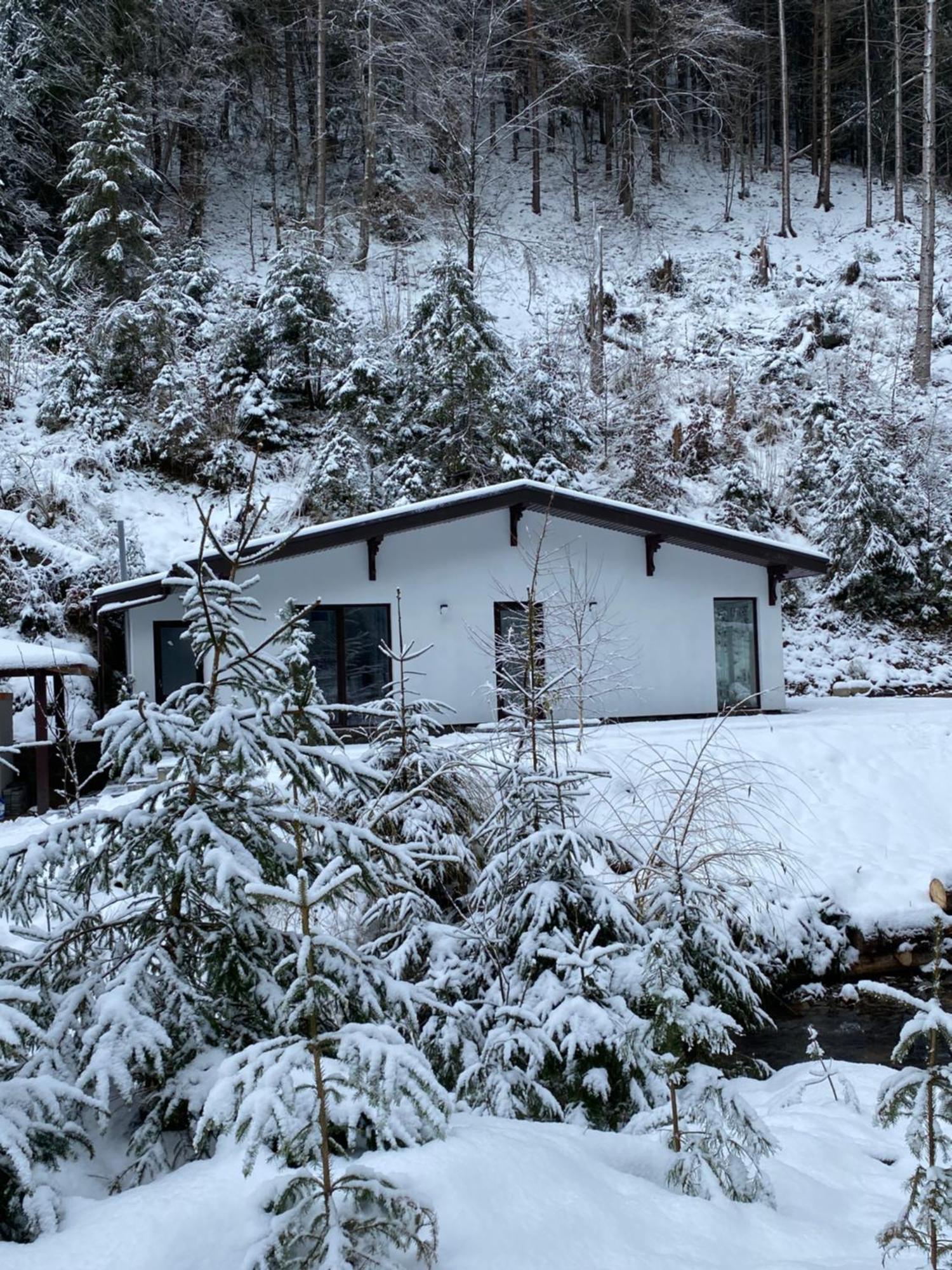 Cottage house Mizhhirya  Dış mekan fotoğraf