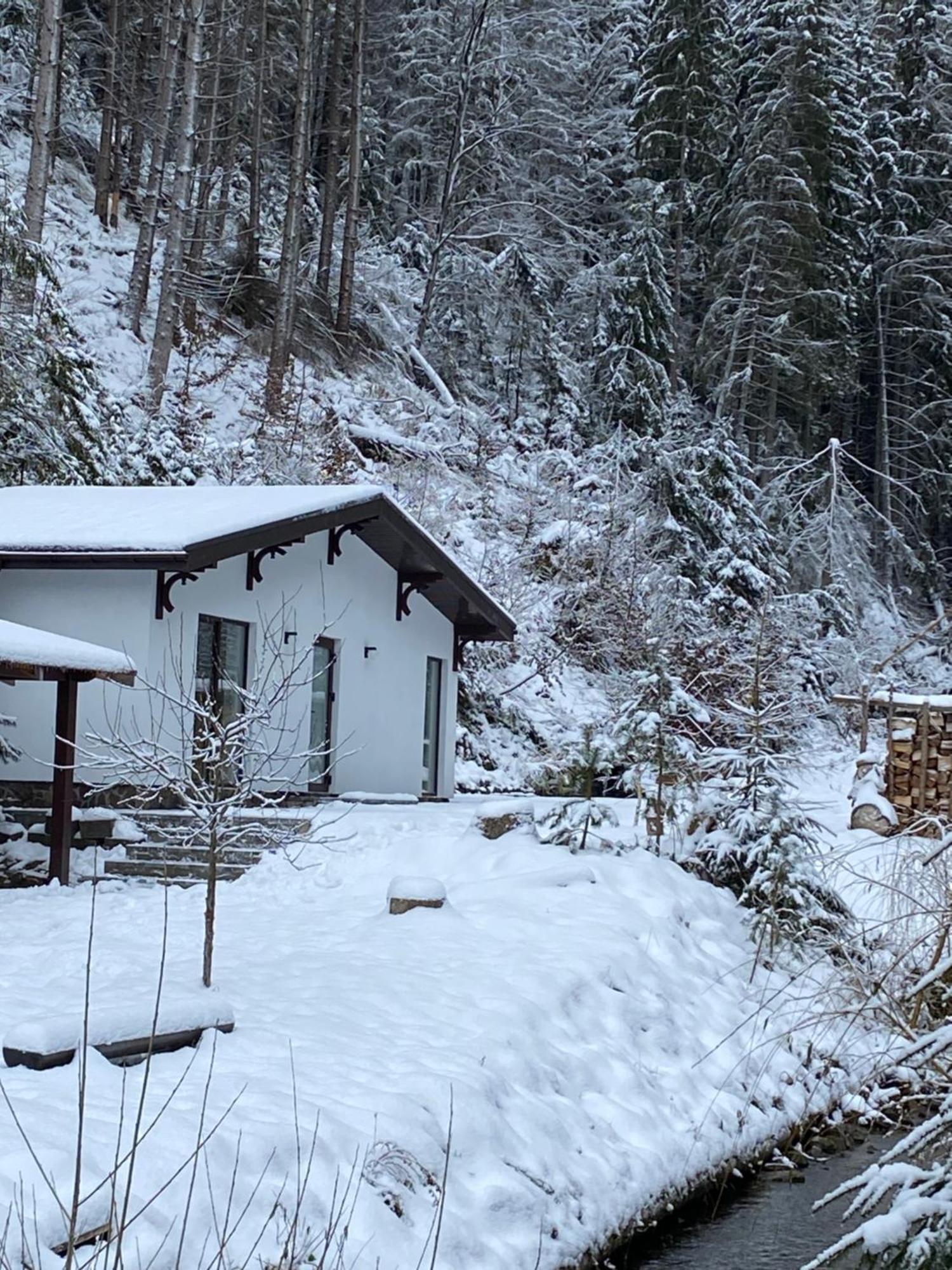Cottage house Mizhhirya  Dış mekan fotoğraf